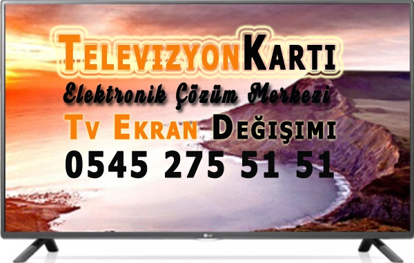 LG 42LS5600 Tv Ekranı (PANEL)